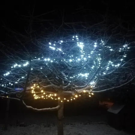 Rum i privatbostad Agroturystyka Saga *