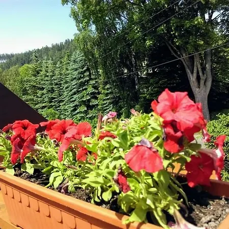 Rum i privatbostad Agroturystyka Saga